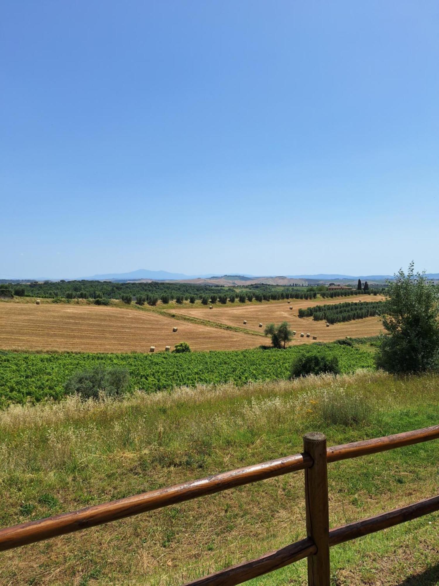 カステルヌオーヴォ・ベラルデンガ Casa Paola Nel Chianti Bed & Breakfast エクステリア 写真