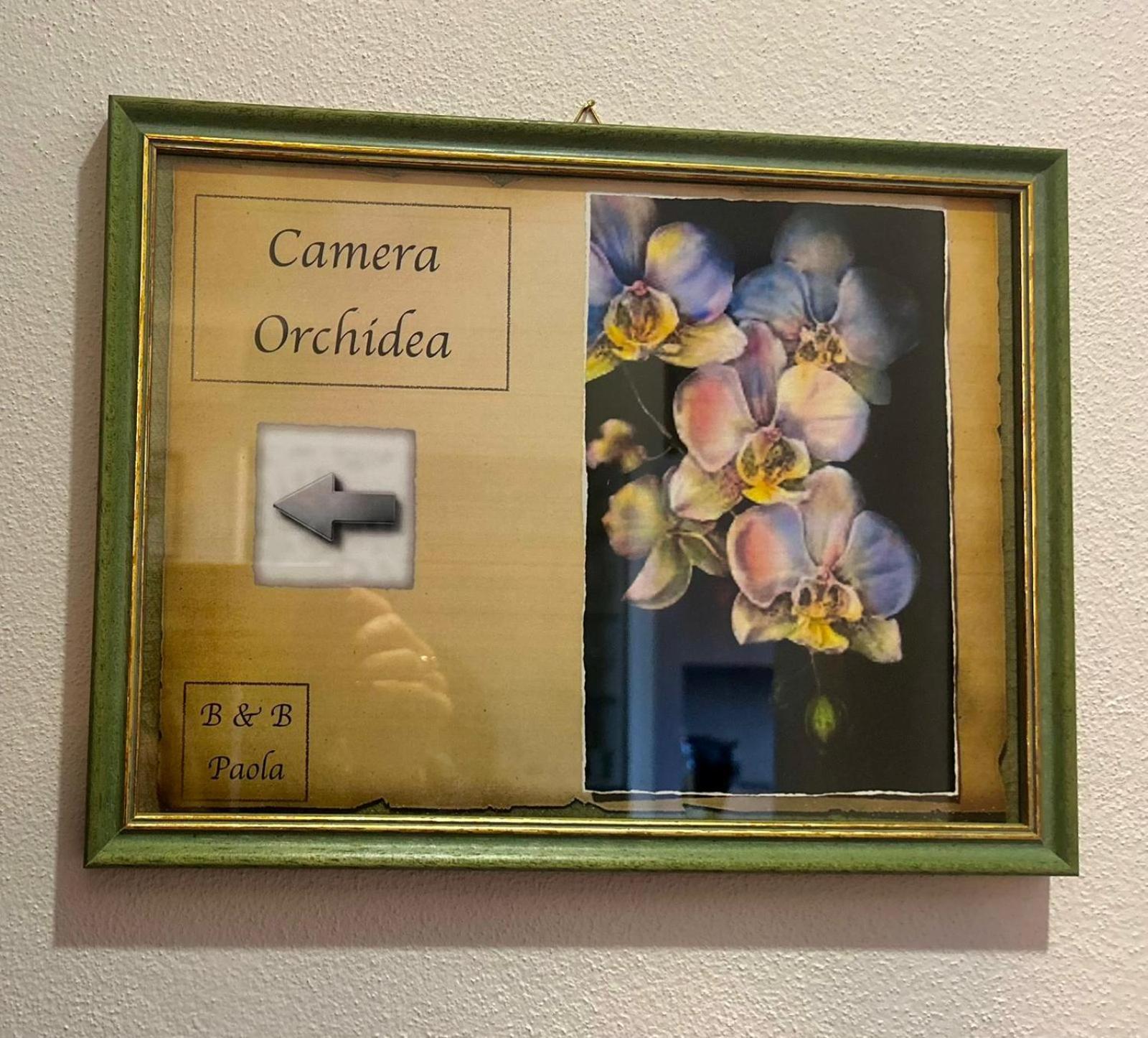 カステルヌオーヴォ・ベラルデンガ Casa Paola Nel Chianti Bed & Breakfast 部屋 写真